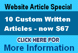 Article Writing Special article writing