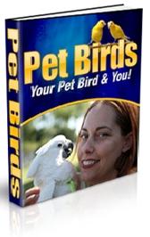 Bird image